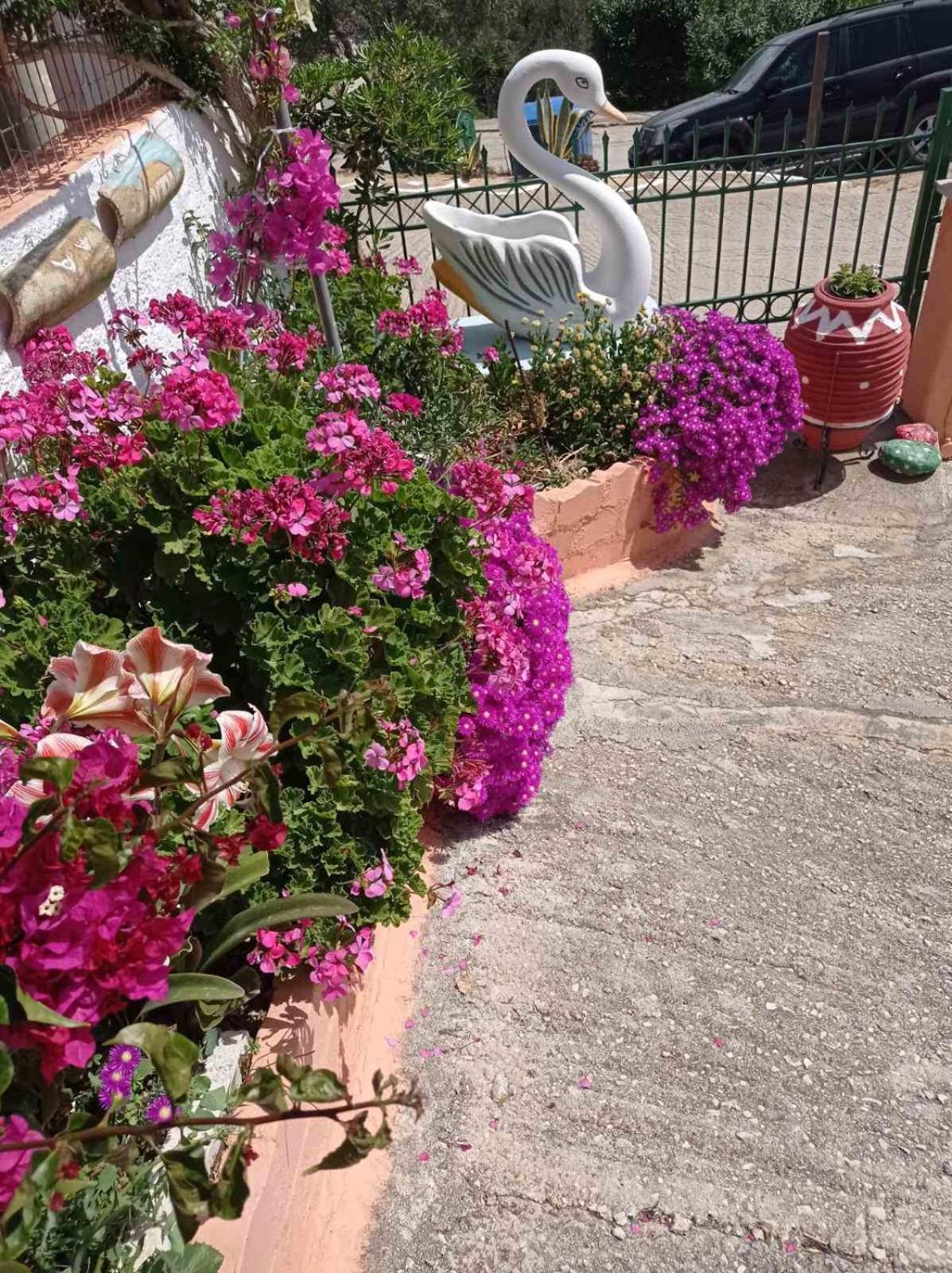 Elenh House Apartment Аргостолион Екстериор снимка